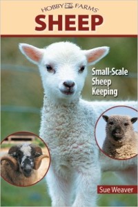 hobby-farms-sheep