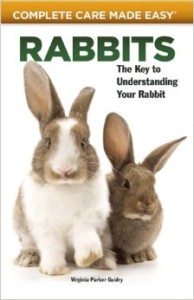 rabbits-complete-care-made-easy