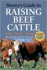 raising-beef-cattle