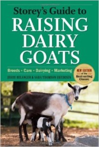 raising-dairy-goats