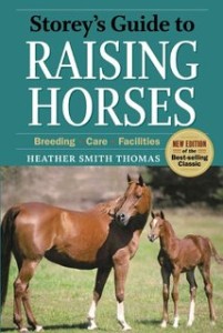 raising-horses